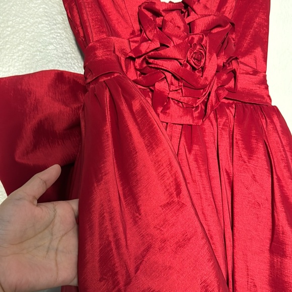 FL&L ROSE MINI DRESS - Picture 3 of 3